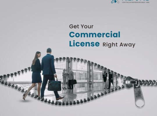Seek professional assistance to obtain your commercial license in Dubai