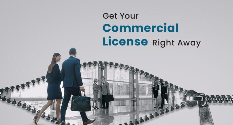 Seek professional assistance to obtain your commercial license in Dubai