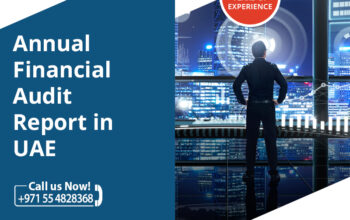 Annual Financial Audit Report in UAE