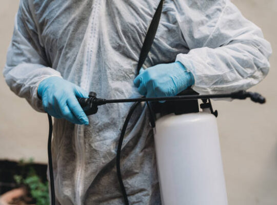 Local Pest Control Company in Abu Dhabi – Shinex Care