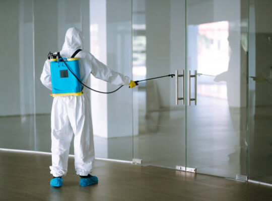 Local Pest Control Company in Abu Dhabi – Shinex Care