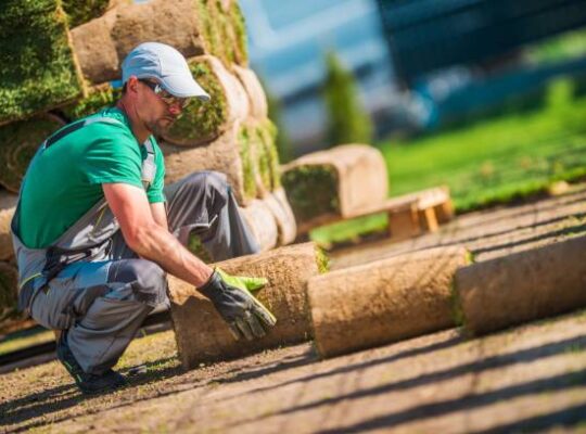 Landscaping Companies in Dubai – Khawar Hanif Contracting LLC