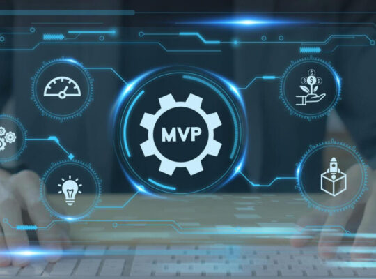 MVP Development Services in Dubai