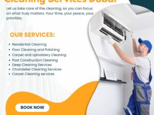 Professional Cleaning Services in Dubai