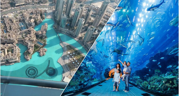 Lost Chambers Aquarium Tickets Online