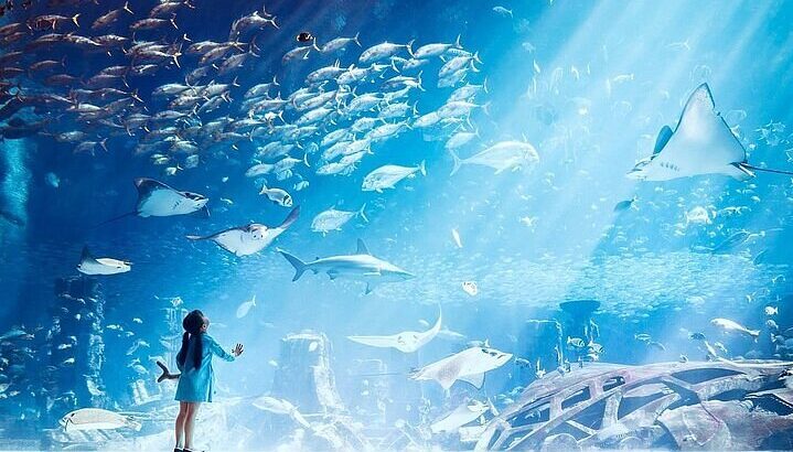 Lost Chambers Aquarium Tickets Online