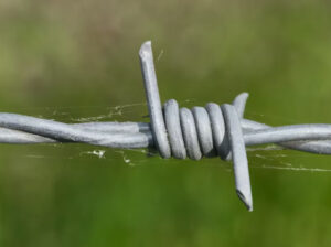 Top Stainless Steel Wire Suppliers – Bulk Supply at Best Prices