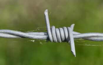 Top Stainless Steel Wire Suppliers – Bulk Supply at Best Prices