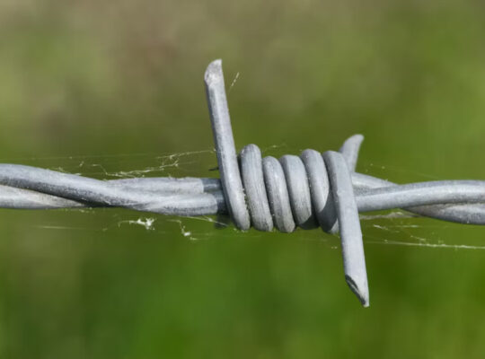 Top Stainless Steel Wire Suppliers – Bulk Supply at Best Prices