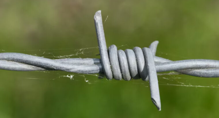 Top Stainless Steel Wire Suppliers – Bulk Supply at Best Prices