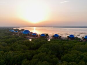 Top 10 Luxury Hotels in Dubai | Dubai Mangrove Resort Price