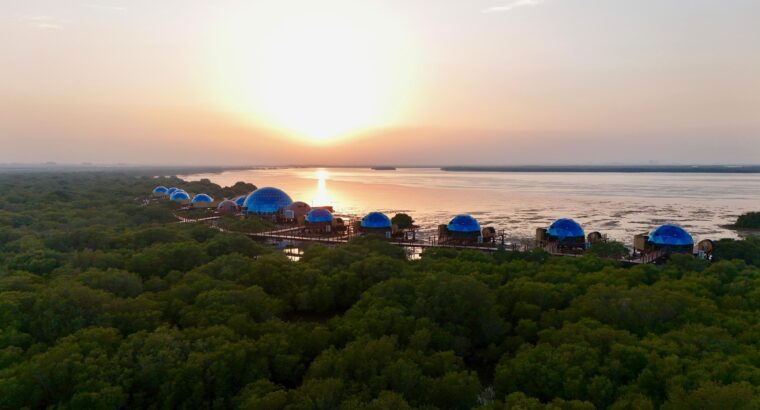 Top 10 Luxury Hotels in Dubai | Dubai Mangrove Resort Price