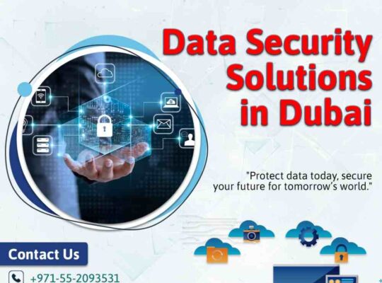 Professional Data Security Providers UAE