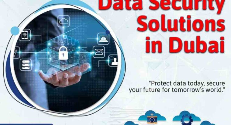 Professional Data Security Providers UAE