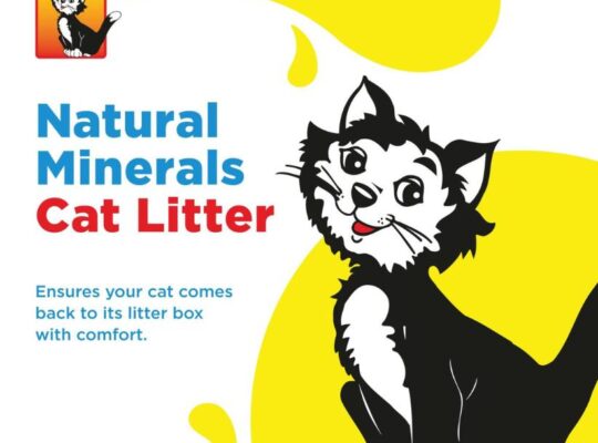 Buy Online – Thomas Cat Litter 16L (Non-Clumping, Unscented)