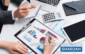 Get Accounting Services in Sharjah – Excellence Auditing