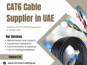 Is CAT6 Cable Supplier in UAE Right for Your Network?