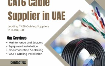 Is CAT6 Cable Supplier in UAE Right for Your Network?