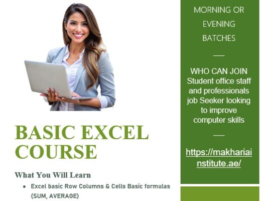 Learn Excel Quickly & Easily Sharjah 0568723609