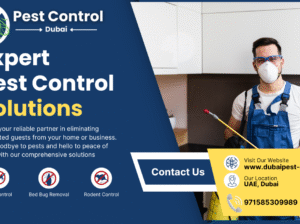 Pest Control Dubai