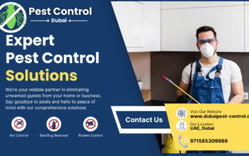 Pest Control Dubai