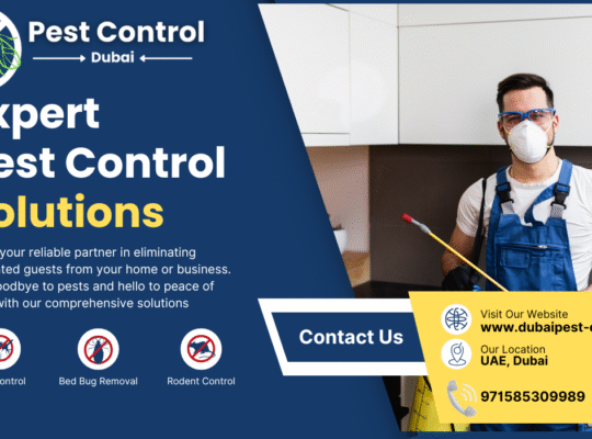Pest Control Dubai