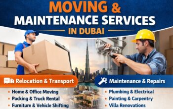 3 ton, 7 ton, and 10 ton pickup trucks, Pickup Truck Rental Dubai