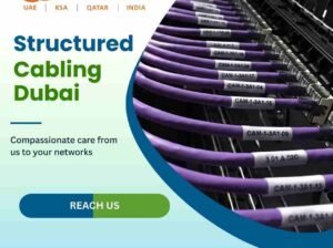 Connex Emirates What Makes Structured Cabling Dubai Essential?