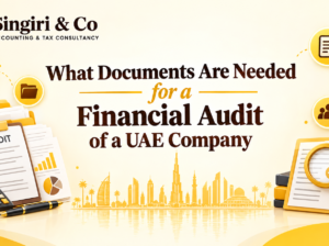UAE Company Audit Documents: Complete Checklist